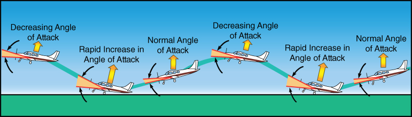 A schematic diagram for aircrafts porpoising during roundout.