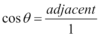 X-Basis vector