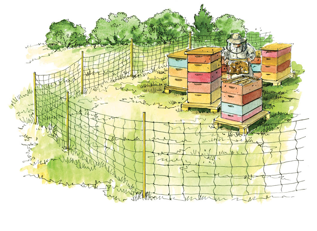 Illustration of electric mesh fencing around several constructed and colorful beehives, beekeeper is within the fenced area maintaining one of the hives.