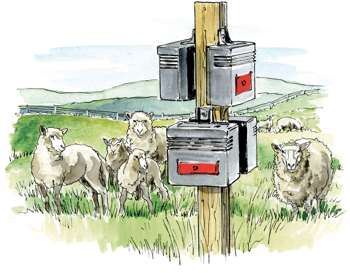 Illustration of Nite-Gaurd lights mounted to a post in a grassy field with sheep.