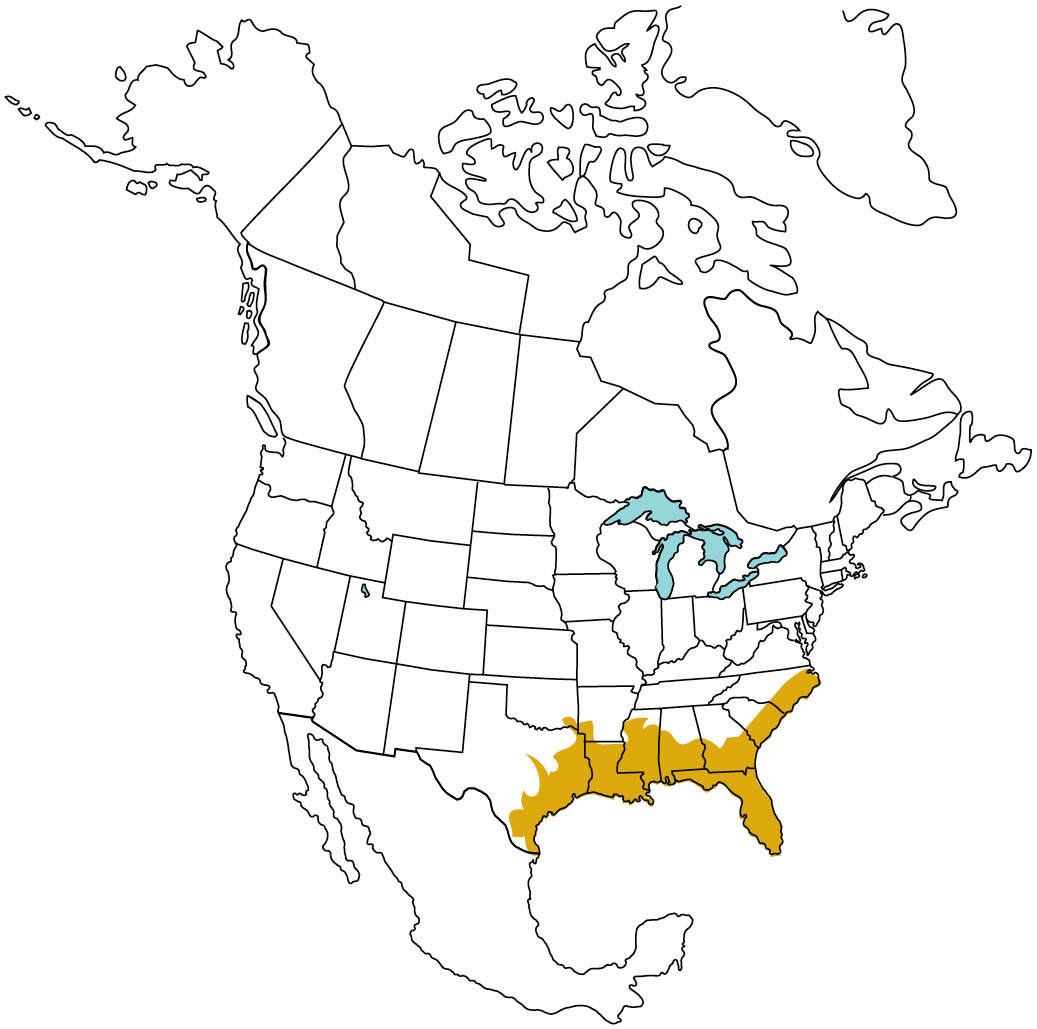 Map of North America highlighting the American Alligator range.