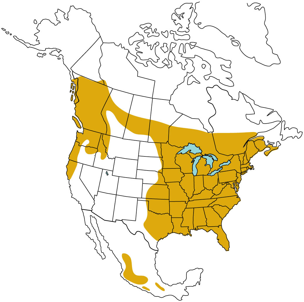 Map of North America highlighting the Barred Owl range.