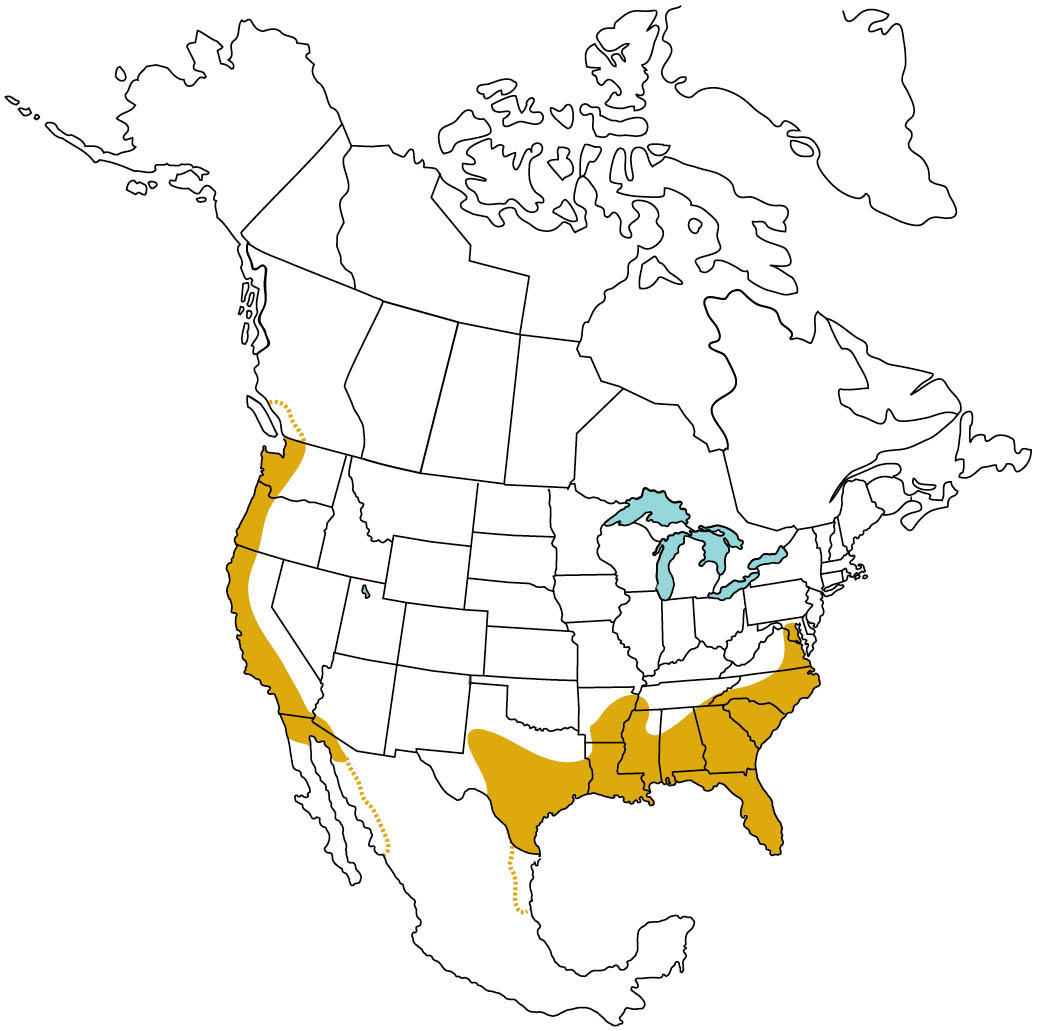 Illustration of North America highlighting the range of the black rat. Range is western or coastal Washington, Oregon, and California. Also southern Texas, Louisiana, southern Arkansaw, Mississippi, Alabama, Georgia, Florida, South Corolina, eastern North Carolina, eastern Virginia, and Maryland. A few small areas in Mexico near Texas and California borders.