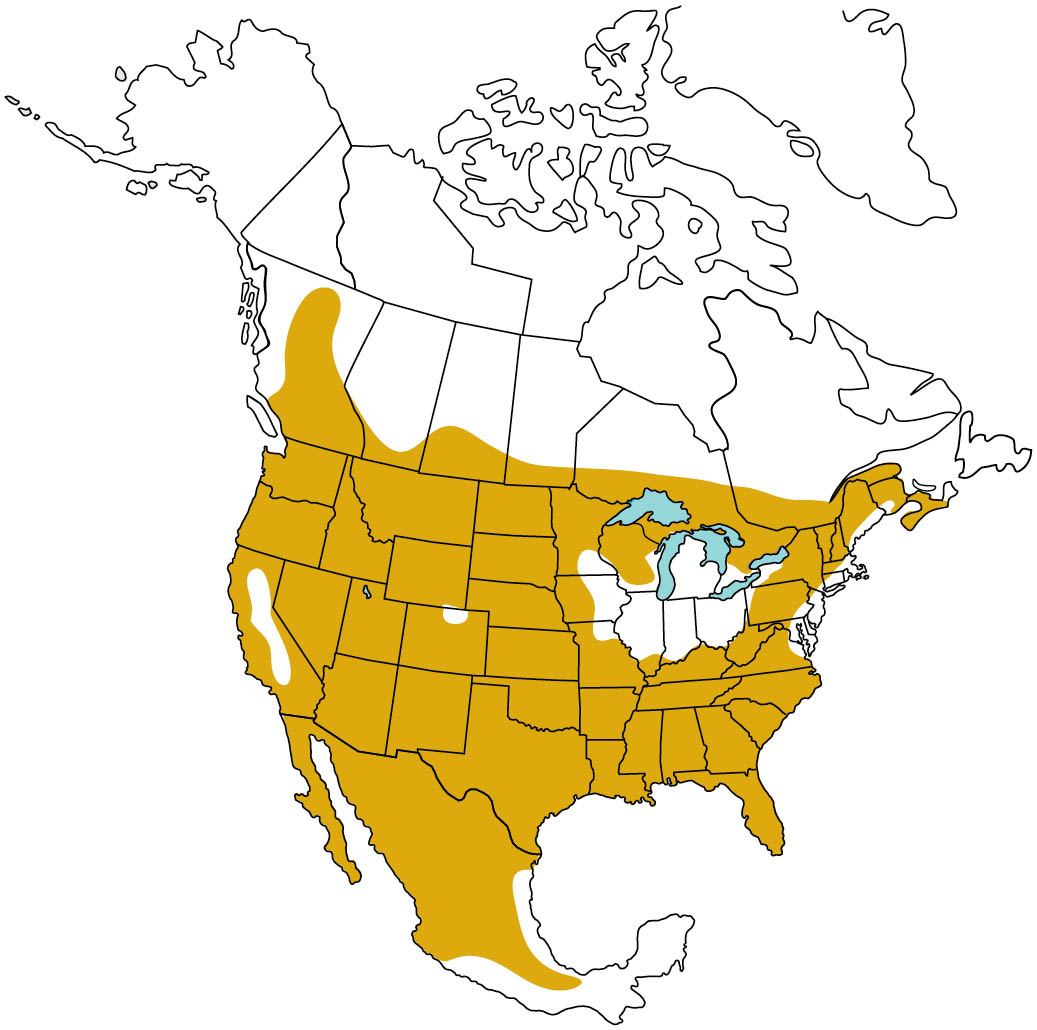 Map of North America indicating the range of the bobcat