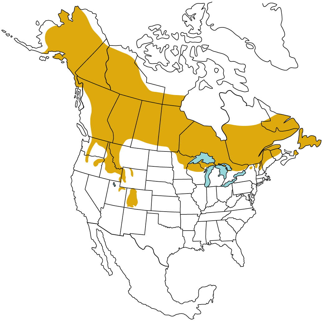 Map of North America highlighting the Canada lynx range.