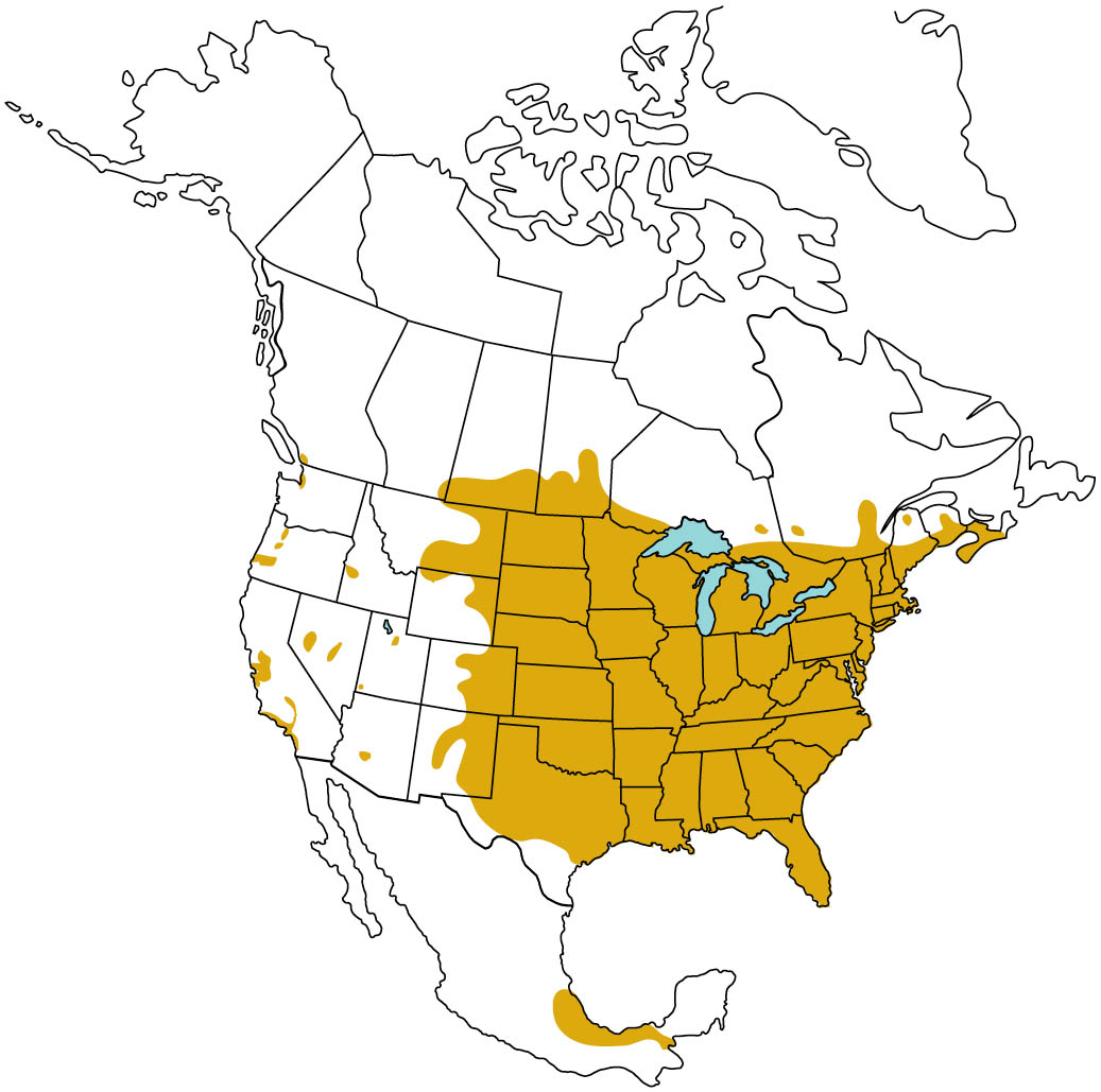 Map of North America highlighting the Common Snapping Turtle range.