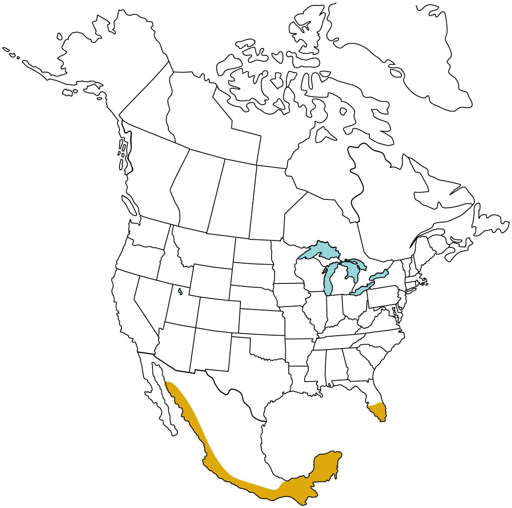 Map of North America highlighting the American Crocodile range. Crocodiles are found only in tropical southeast Florida and coastal Pacific Mexico.