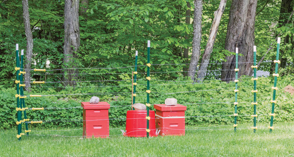 Photo of 3 beehives enclosed in an electric fence with a large rock atop each hive.