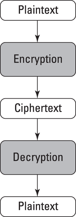 Schematic illustration of encryption and decryption.