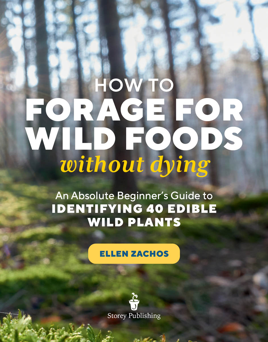 How to forage for wild foods without dying, an absolute beginner's guide to identifying 40 edible wild plants by Ellen Zachos