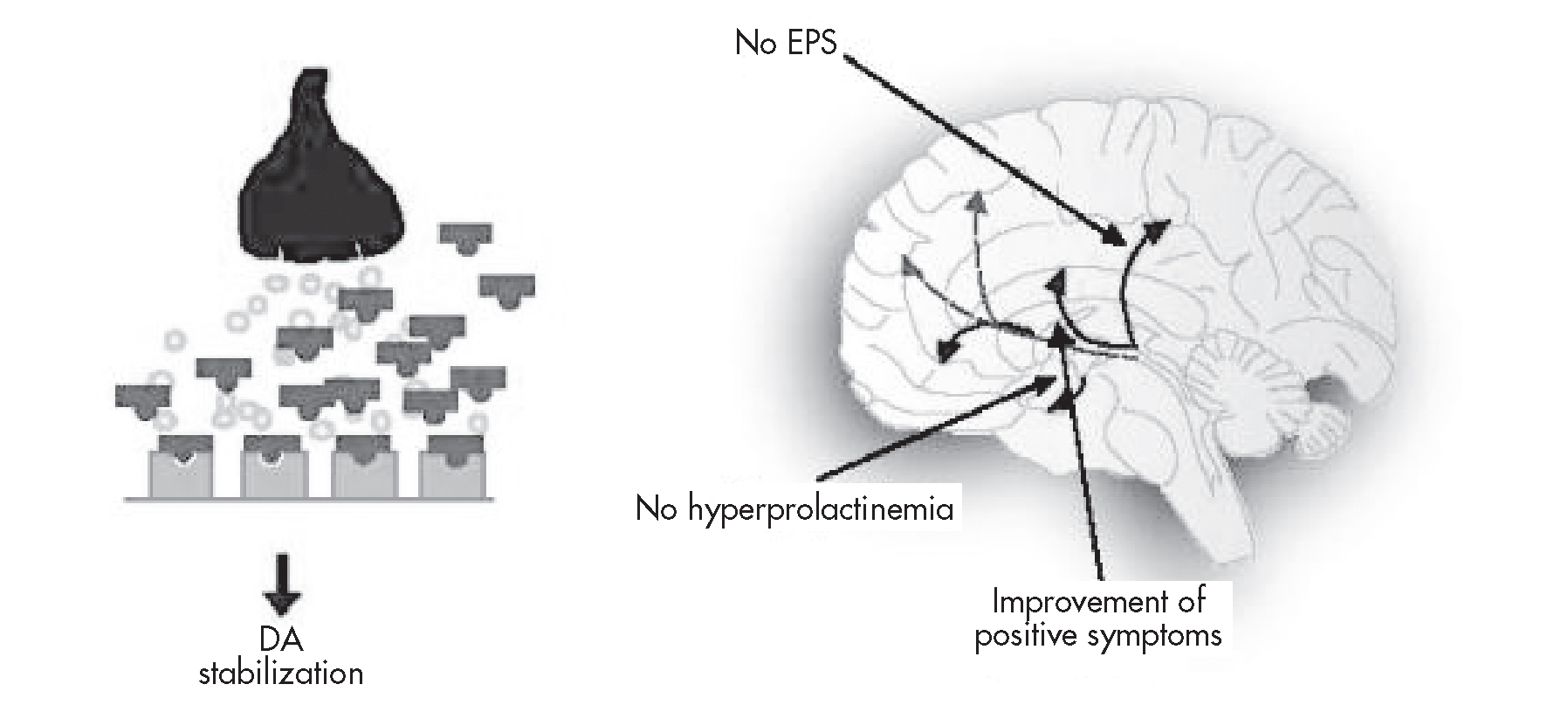 FIGURE 29–2. Dopamine (DA) partial agonist activity: effect on positive symptoms, extrapyramidal side effects (EPS), and prolactin levels.