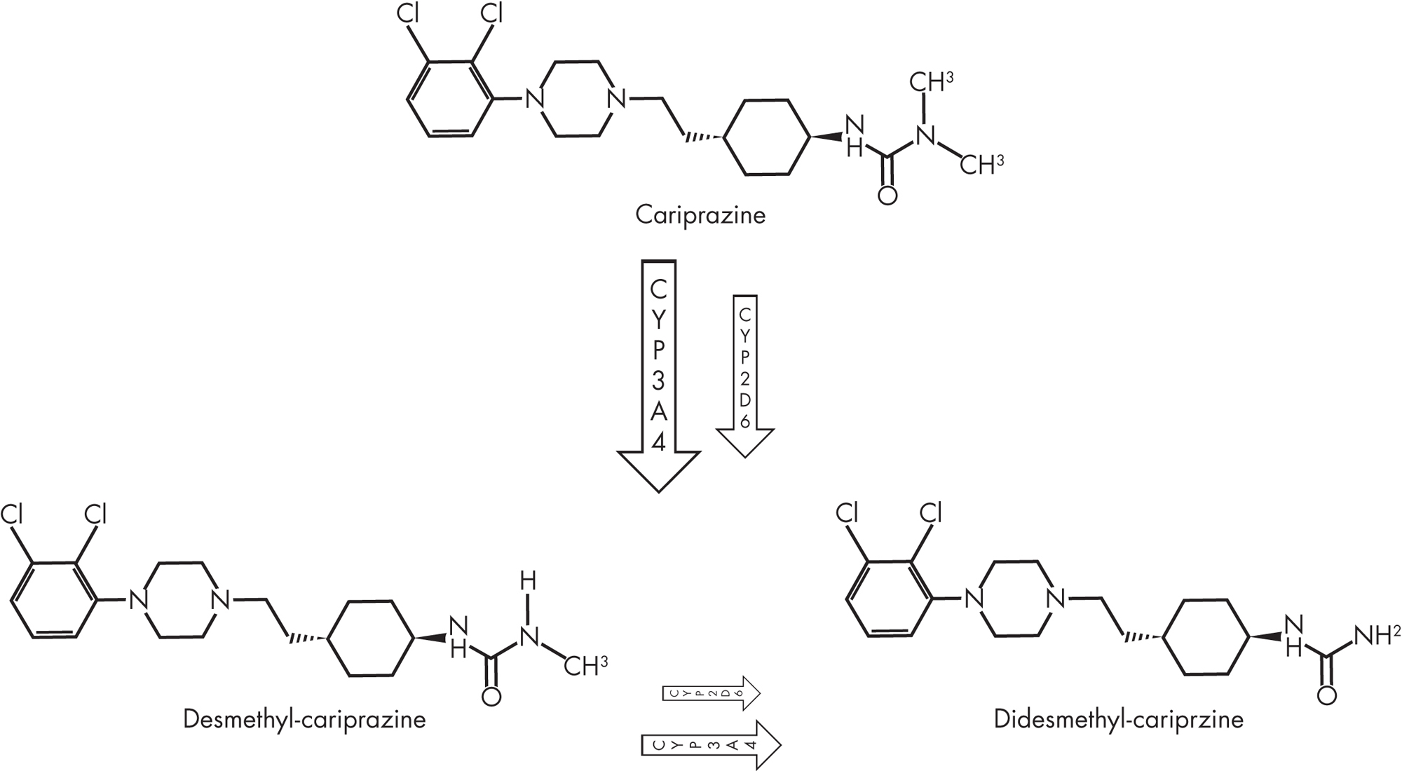 FIGURE 34–2. Chemical structures of cariprazine and its major metabolites, desmethyl-cariprazine (DCAR) and didesmethyl-cariprazine (DDCAR).