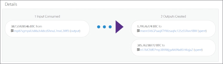 Snapshot illustration of the blockchain viewer showing a transaction.