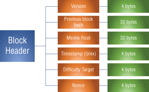 Schematic illustration of the block header.