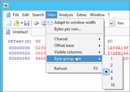 Snapshot illustration of setting the byte group size to 4.