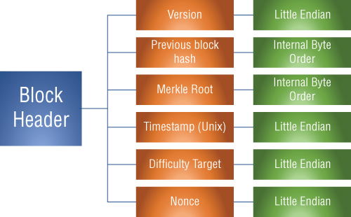 Schematic illustration showing how each entity is written in the block header.