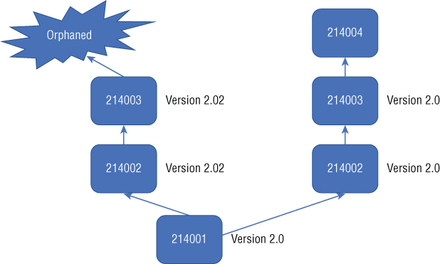 Schematic illustration showing that the new fork does not have support and dies.