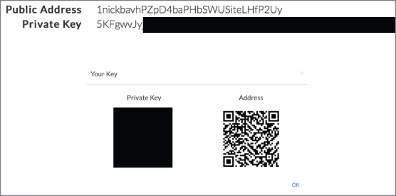 Snapshot illustration showing the result of generating an address beginning with 1nick.