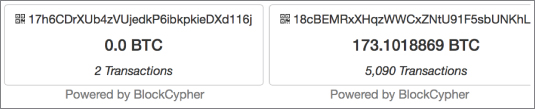 Snapshot illustration of monitoring two addresses. 