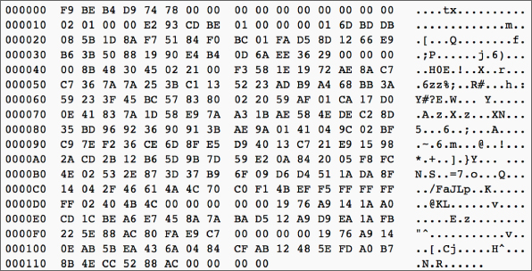 Snapshot illustration of a raw transaction packet.