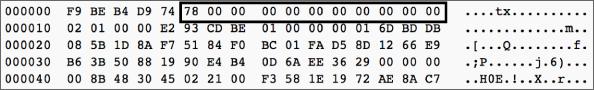 Snapshot illustration of the packet type.