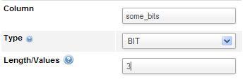 Bit column type