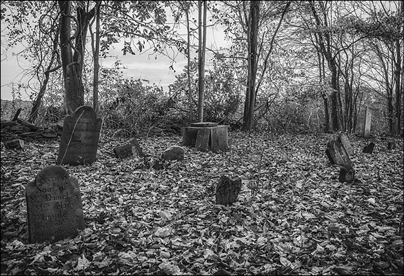 The cemetery behind Captain Grant’s