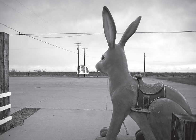 Jackrabbit Trading Post,...