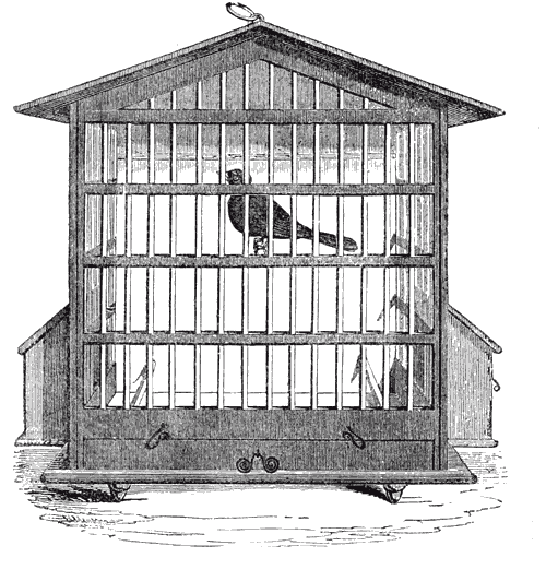 CATO’O BLACKBIRD’D CAGE.