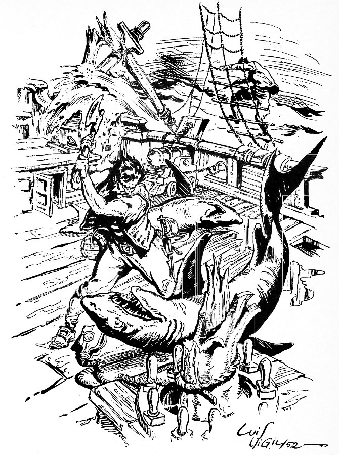 image6.jpeg
