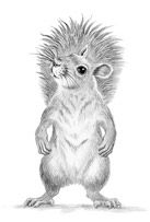 Igel