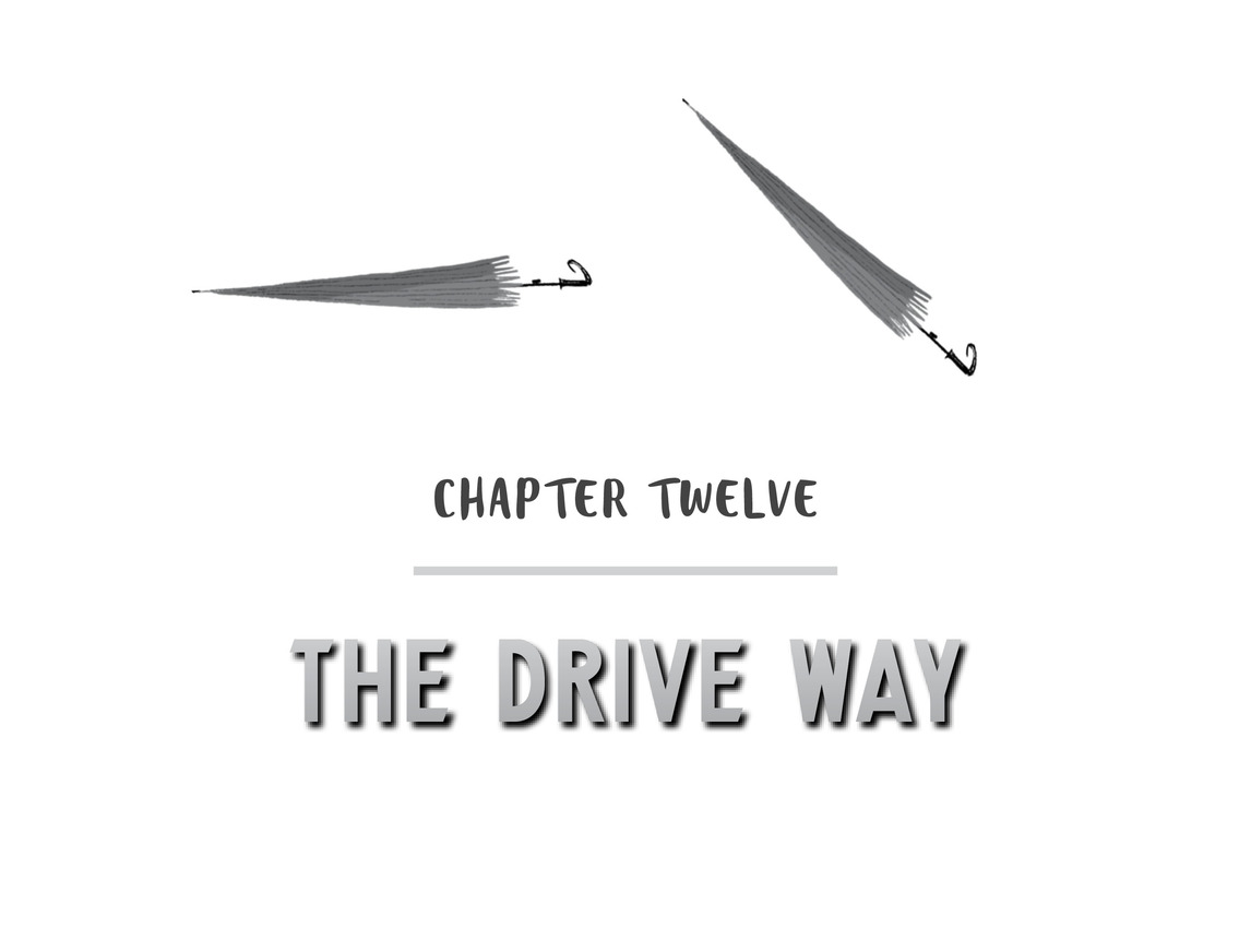 Chapter Twelve The Drive Way