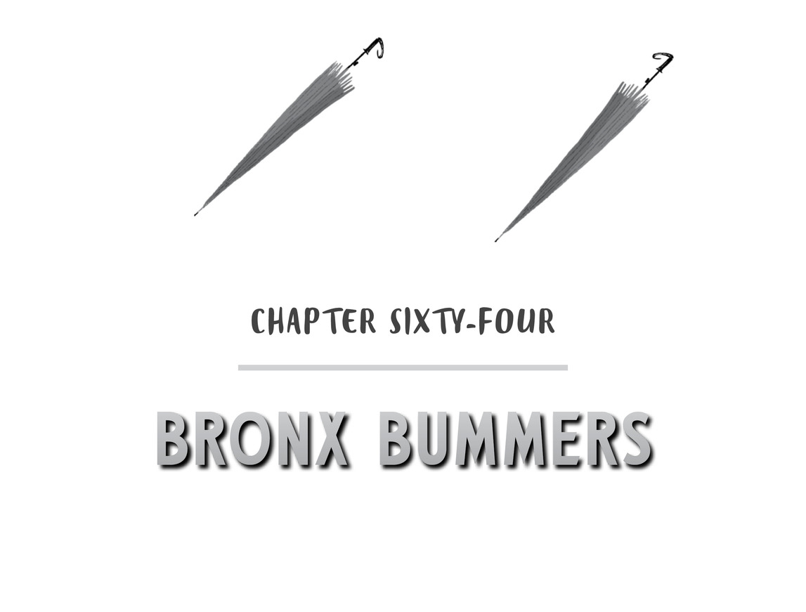 Chapter Sixty-Four Bronx Bummers