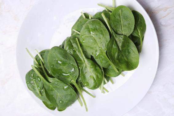 A green salad on a plate  Description automatically generated