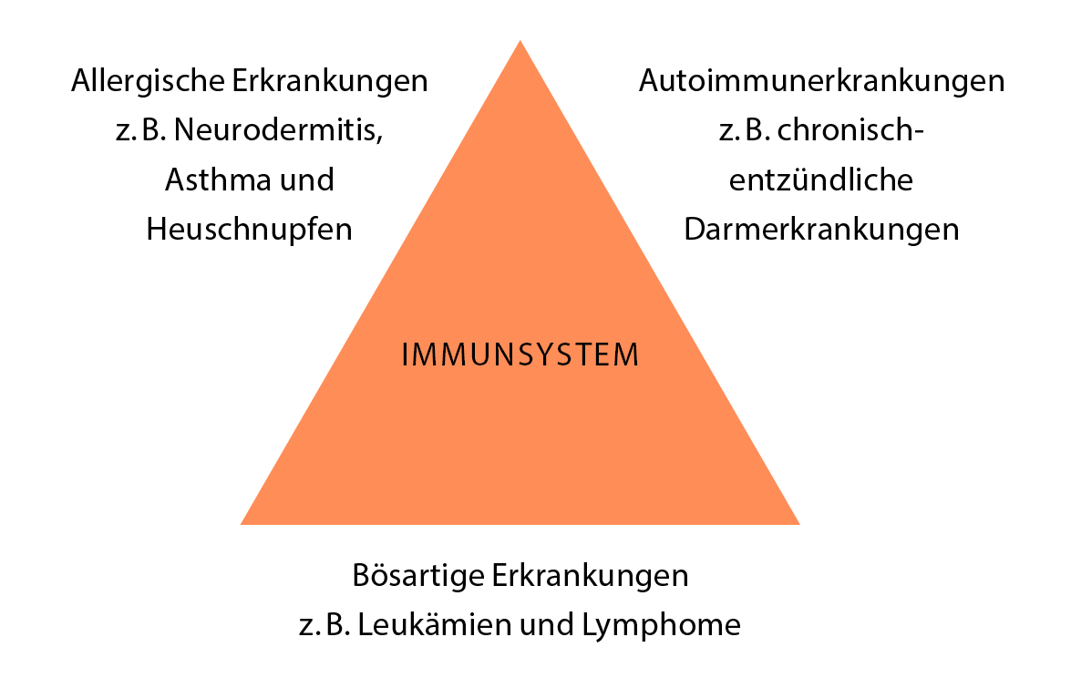 Grafik_Immunsystem.indd