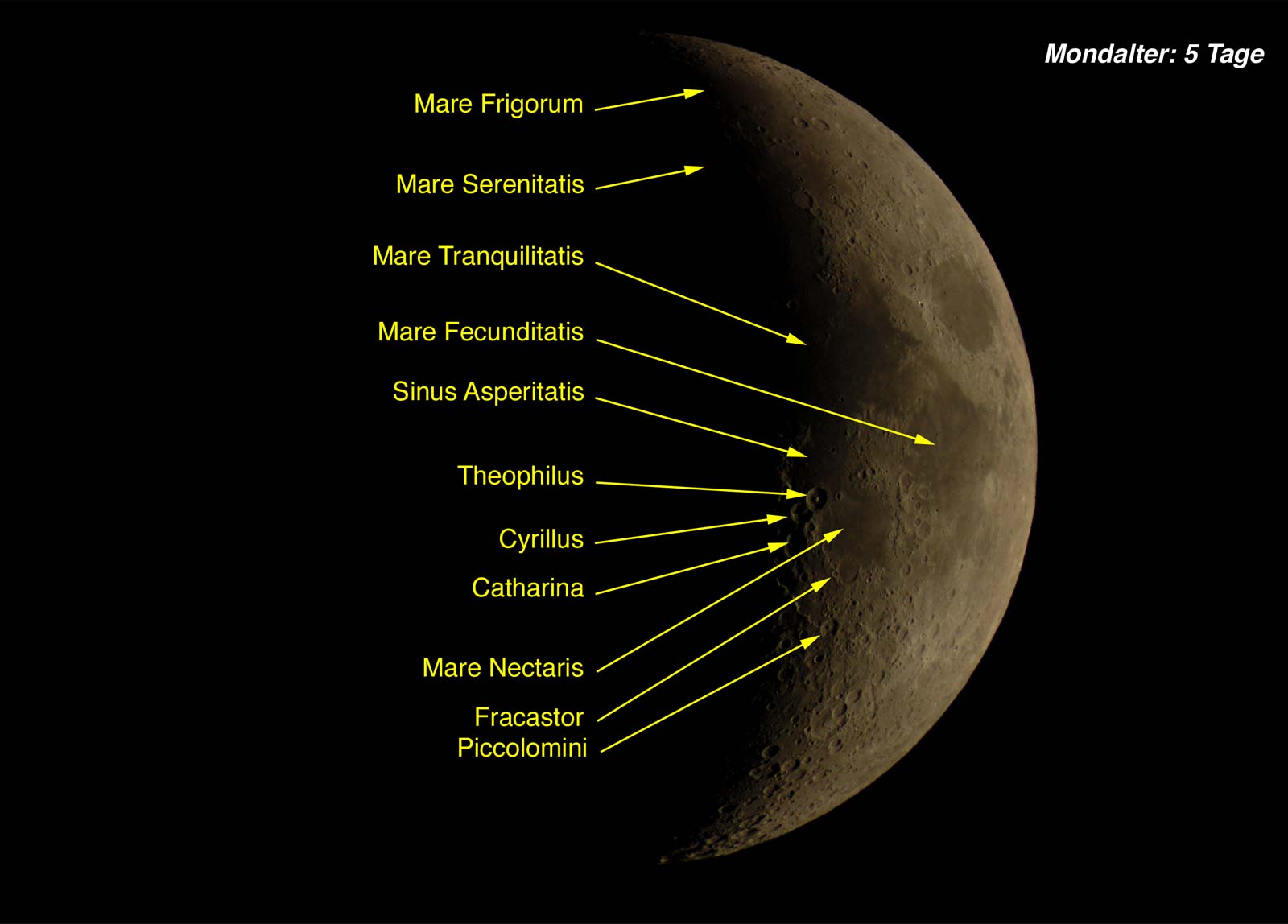 Mond-5_2-Tage-beschrif_fmt