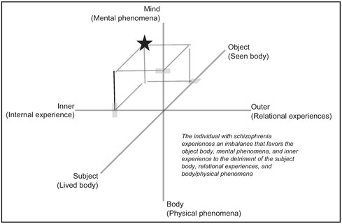 Figure 3.5 Schizophrenia conceptualization