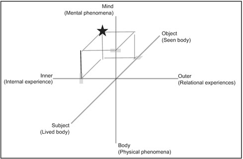 Figure 3.6 Schizophrenia conceptualization