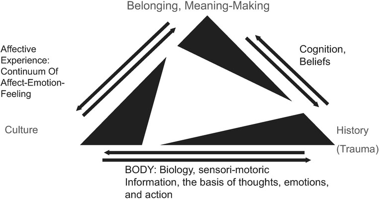 Figure 12.1 Human behaviour: Adjusting the framework for culture, context and the body