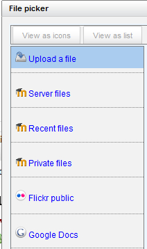 What can you pick from the File picker?