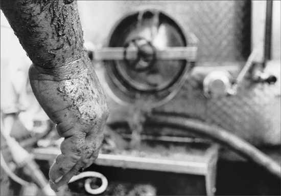 A man’s hand dripping with grape sediment