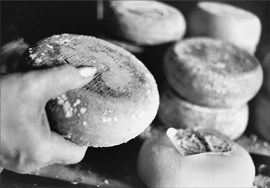 Holding a small wheel of cheese