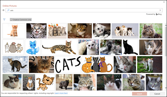 The Online Pictures dialog box showing pictures of cats.