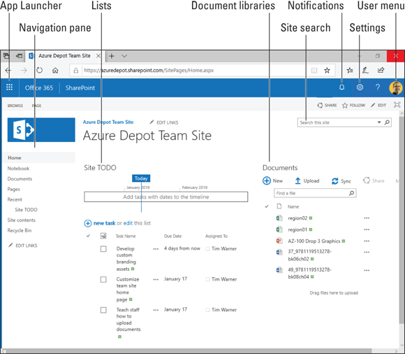 Illustration of a SharePoint Online team site in the Office 365 window.