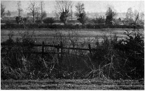 Open field behind a fence