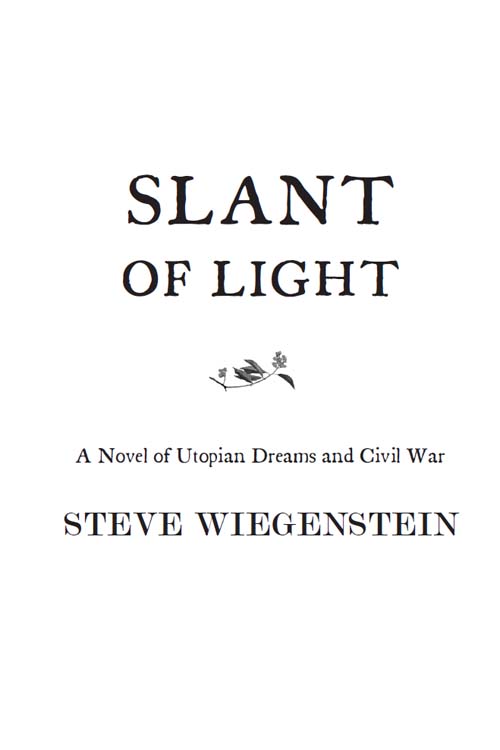 Full Title of Slant of Light