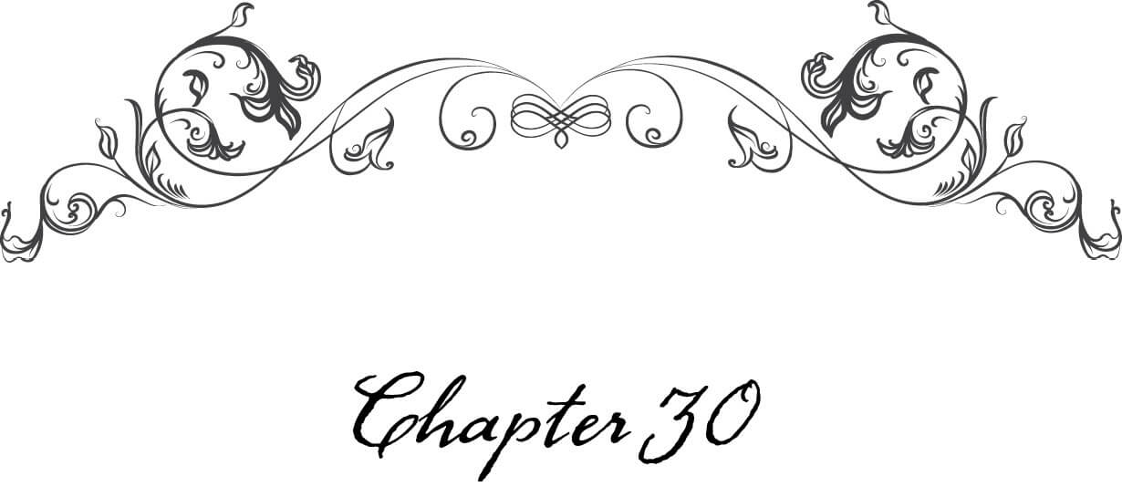 chap30