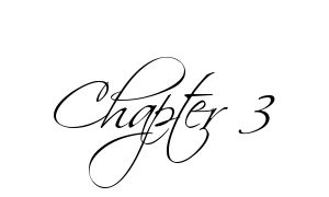 Chapter 3