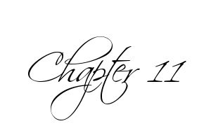 Chapter 11