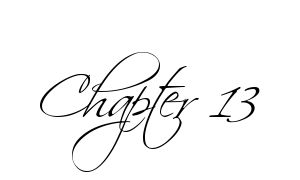 Chapter 13